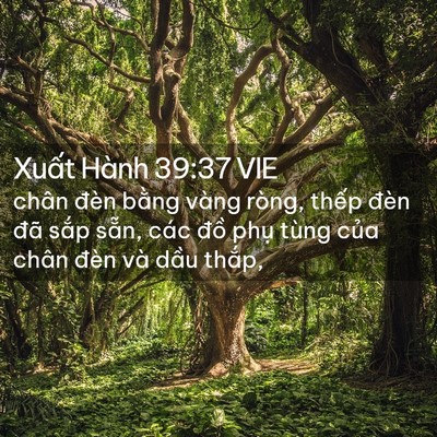 Picture 02 - Xuất Hành 39:37 VIE - chân đèn bằng vàng ròng, thếp đèn đã - Bible Verse Picture
