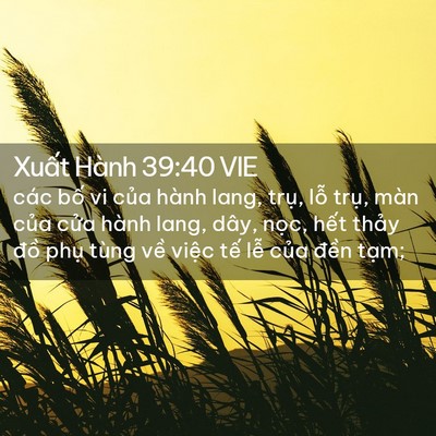 Picture 02 - Xuất Hành 39:40 VIE - các bố vi của hành lang, trụ, lỗ trụ, - Bible Verse Picture