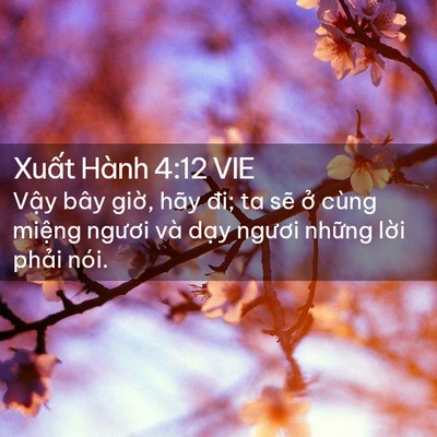 Picture 02 - Xuất Hành 4:12 VIE - Vậy bây giờ, hãy đi; ta sẽ ở cùng - Bible Verse Picture