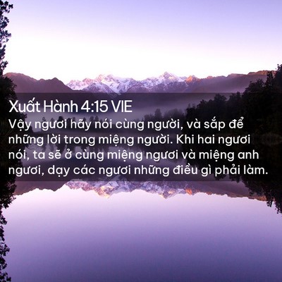 Picture 02 - Xuất Hành 4:15 VIE - Vậy ngươi hãy nói cùng người, và sắp - Bible Verse Picture