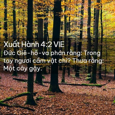 Picture 02 - Xuất Hành 4:2 VIE - Đức Giê-hô-va phán rằng: Trong tay - Bible Verse Picture