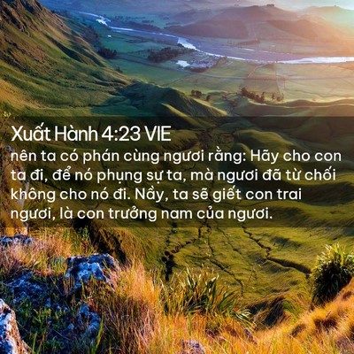 Picture 02 - Xuất Hành 4:23 VIE - nên ta có phán cùng ngươi rằng: Hãy cho - Bible Verse Picture