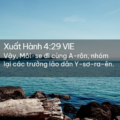 Picture 02 - Xuất Hành 4:29 VIE - Vậy, Môi-se đi cùng A-rôn, nhóm lại các - Bible Verse Picture