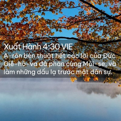 Picture 02 - Xuất Hành 4:30 VIE - A-rôn bèn thuật hết các lời của Đức - Bible Verse Picture