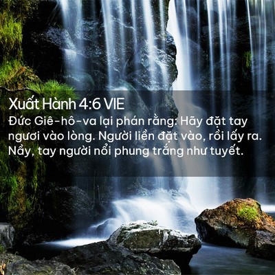 Picture 02 - Xuất Hành 4:6 VIE - Đức Giê-hô-va lại phán rằng: Hãy - Bible Verse Picture