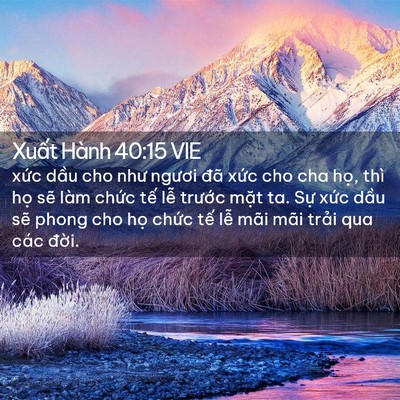 Picture 02 - Xuất Hành 40:15 VIE - xức dầu cho như ngươi đã xức cho cha - Bible Verse Picture