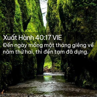 Picture 02 - Xuất Hành 40:17 VIE - Đến ngày mồng một tháng giêng về năm - Bible Verse Picture