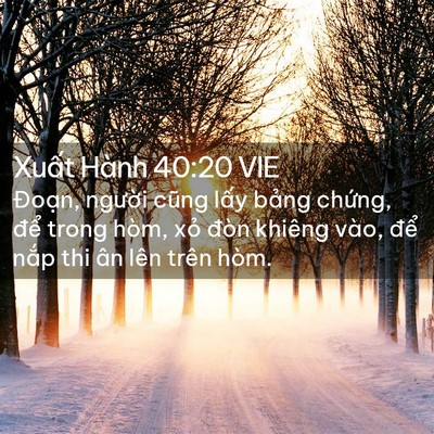 Picture 02 - Xuất Hành 40:20 VIE - Đoạn, người cũng lấy bảng chứng, - Bible Verse Picture