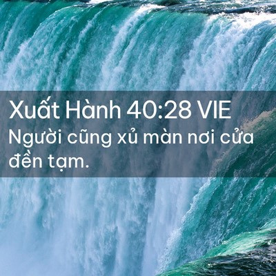 Picture 02 - Xuất Hành 40:28 VIE - Người cũng xủ màn nơi cửa đền - Bible Verse Picture