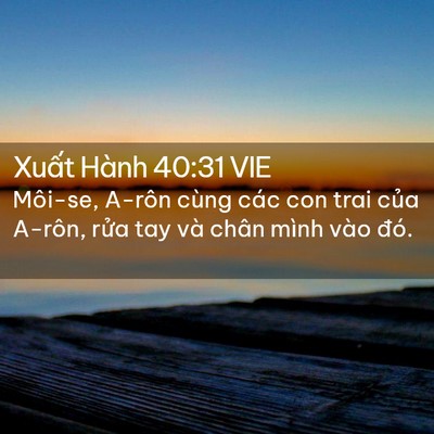 Picture 02 - Xuất Hành 40:31 VIE - Môi-se, A-rôn cùng các con trai của A-rôn, - Bible Verse Picture