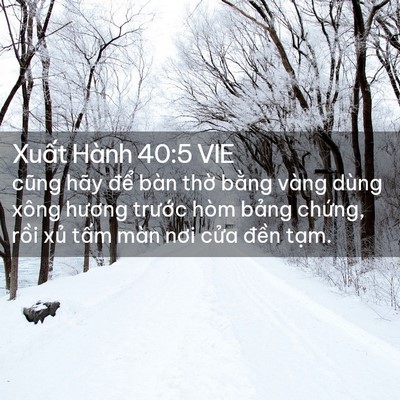 Picture 02 - Xuất Hành 40:5 VIE - cũng hãy để bàn thờ bằng vàng dùng - Bible Verse Picture