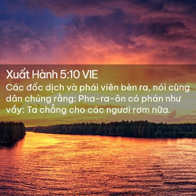Picture 02 - Xuất Hành 5:10 VIE - Các đốc dịch và phái viên bèn ra, nói - Bible Verse Picture