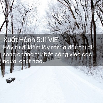 Picture 02 - Xuất Hành 5:11 VIE - Hãy tự đi kiếm lấy rơm ở đâu thì - Bible Verse Picture
