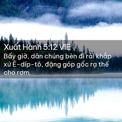 Picture 02 - Xuất Hành 5:12 VIE - Bấy giờ, dân chúng bèn đi rải khắp - Bible Verse Picture