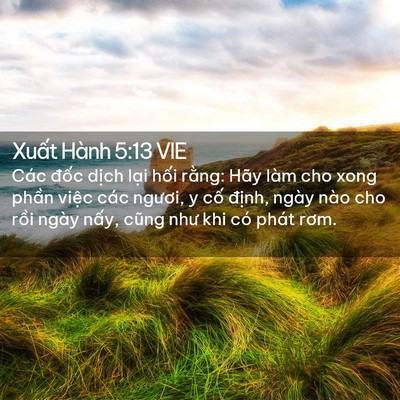 Picture 02 - Xuất Hành 5:13 VIE - Các đốc dịch lại hối rằng: Hãy làm - Bible Verse Picture