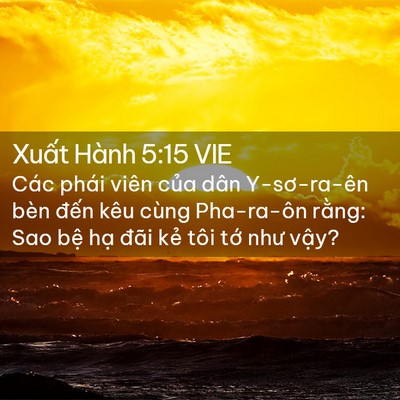 Picture 02 - Xuất Hành 5:15 VIE - Các phái viên của dân Y-sơ-ra-ên bèn - Bible Verse Picture