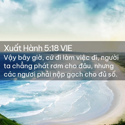 Picture 02 - Xuất Hành 5:18 VIE - Vậy bây giờ, cứ đi làm việc đi, - Bible Verse Picture