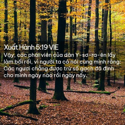 Picture 02 - Xuất Hành 5:19 VIE - Vậy, các phái viên của dân Y-sơ-ra-ên - Bible Verse Picture