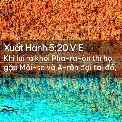 Picture 02 - Xuất Hành 5:20 VIE - Khi lui ra khỏi Pha-ra-ôn thì họ gặp - Bible Verse Picture