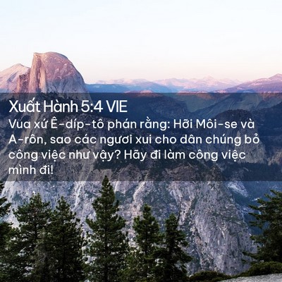 Picture 02 - Xuất Hành 5:4 VIE - Vua xứ Ê-díp-tô phán rằng: Hỡi Môi-se - Bible Verse Picture