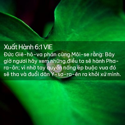 Picture 02 - Xuất Hành 6:1 VIE - Đức Giê-hô-va phán cùng Môi-se rằng: - Bible Verse Picture