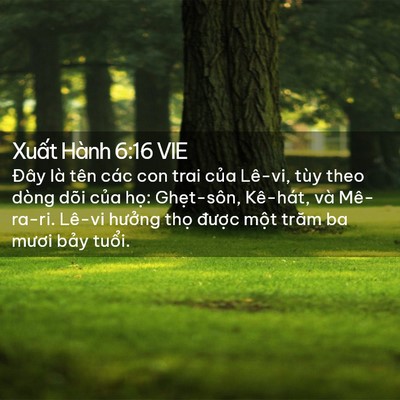 Picture 02 - Xuất Hành 6:16 VIE - Đây là tên các con trai của Lê-vi, tùy - Bible Verse Picture
