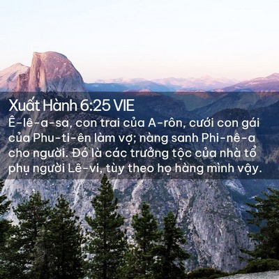 Picture 02 - Xuất Hành 6:25 VIE - Ê-lê-a-sa, con trai của A-rôn, cưới con - Bible Verse Picture