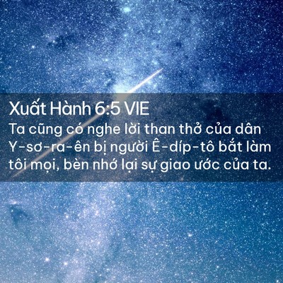 Picture 02 - Xuất Hành 6:5 VIE - Ta cũng có nghe lời than thở của dân - Bible Verse Picture