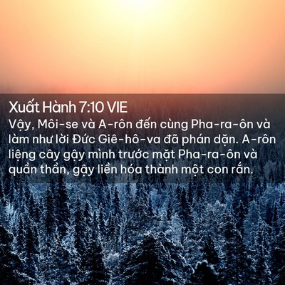 Picture 02 - Xuất Hành 7:10 VIE - Vậy, Môi-se và A-rôn đến cùng Pha-ra-ôn - Bible Verse Picture