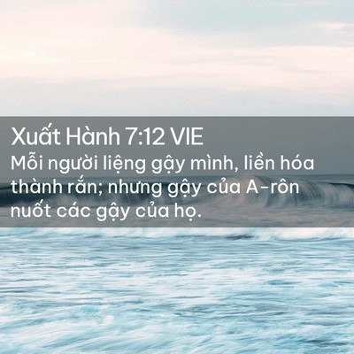 Picture 02 - Xuất Hành 7:12 VIE - Mỗi người liệng gậy mình, liền hóa - Bible Verse Picture