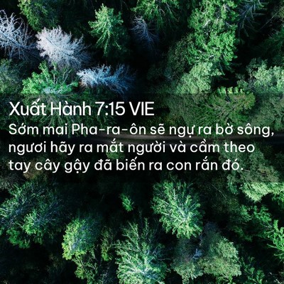 Picture 02 - Xuất Hành 7:15 VIE - Sớm mai Pha-ra-ôn sẽ ngự ra bờ sông, - Bible Verse Picture