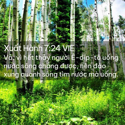 Picture 02 - Xuất Hành 7:24 VIE - Vả, vì hết thảy người Ê-díp-tô - Bible Verse Picture