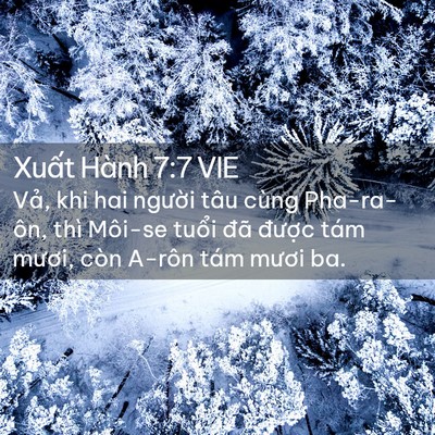 Picture 02 - Xuất Hành 7:7 VIE - Vả, khi hai người tâu cùng Pha-ra-ôn, - Bible Verse Picture