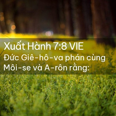 Picture 02 - Xuất Hành 7:8 VIE - Đức Giê-hô-va phán cùng Môi-se và A-rôn - Bible Verse Picture