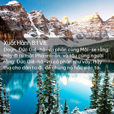 Picture 02 - Xuất Hành 8:1 VIE - Đoạn, Đức Giê-hô-va phán cùng Môi-se - Bible Verse Picture