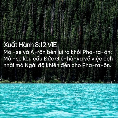 Picture 02 - Xuất Hành 8:12 VIE - Môi-se và A-rôn bèn lui ra khỏi Pha-ra-ôn; - Bible Verse Picture