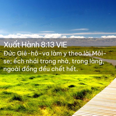 Picture 02 - Xuất Hành 8:13 VIE - Đức Giê-hô-va làm y theo lời Môi-se; - Bible Verse Picture