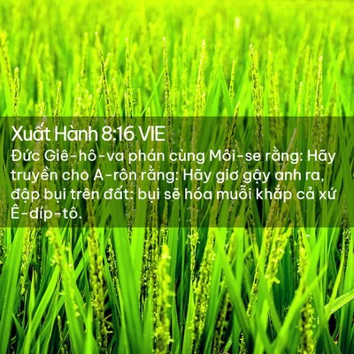 Picture 02 - Xuất Hành 8:16 VIE - Đức Giê-hô-va phán cùng Môi-se rằng: - Bible Verse Picture