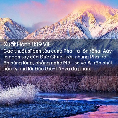 Picture 02 - Xuất Hành 8:19 VIE - Các thuật sĩ bèn tâu cùng Pha-ra-ôn - Bible Verse Picture