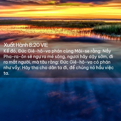 Picture 02 - Xuất Hành 8:20 VIE - Kế đó, Đức Giê-hô-va phán cùng Môi-se - Bible Verse Picture