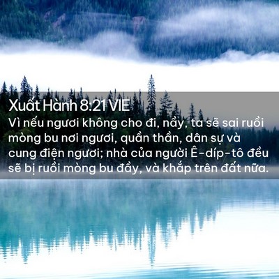 Picture 02 - Xuất Hành 8:21 VIE - Vì nếu ngươi không cho đi, nầy, ta sẽ - Bible Verse Picture