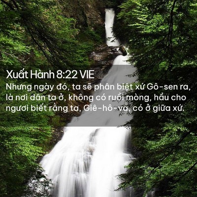 Picture 02 - Xuất Hành 8:22 VIE - Nhưng ngày đó, ta sẽ phân biệt xứ - Bible Verse Picture