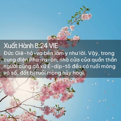 Picture 02 - Xuất Hành 8:24 VIE - Đức Giê-hô-va bèn làm y như lời. Vậy, - Bible Verse Picture