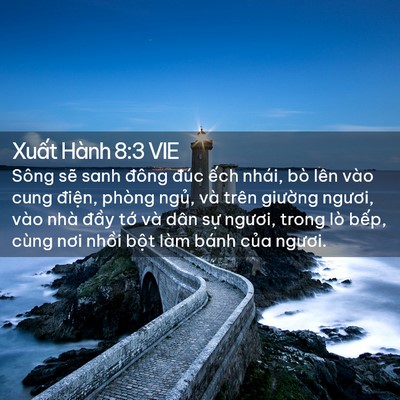 Picture 02 - Xuất Hành 8:3 VIE - Sông sẽ sanh đông đúc ếch nhái, bò - Bible Verse Picture