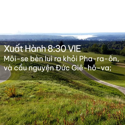 Picture 02 - Xuất Hành 8:30 VIE - Môi-se bèn lui ra khỏi Pha-ra-ôn, và cầu - Bible Verse Picture