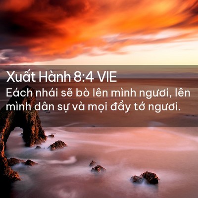 Picture 02 - Xuất Hành 8:4 VIE - Eách nhái sẽ bò lên mình ngươi, lên - Bible Verse Picture
