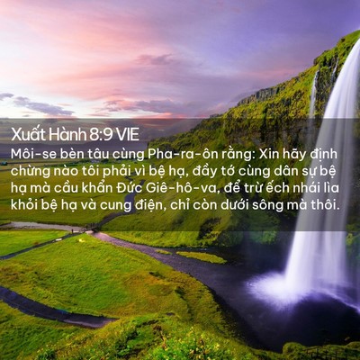 Picture 02 - Xuất Hành 8:9 VIE - Môi-se bèn tâu cùng Pha-ra-ôn rằng: Xin - Bible Verse Picture