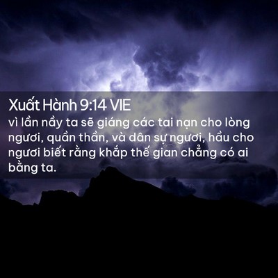 Picture 02 - Xuất Hành 9:14 VIE - vì lần nầy ta sẽ giáng các tai nạn cho - Bible Verse Picture