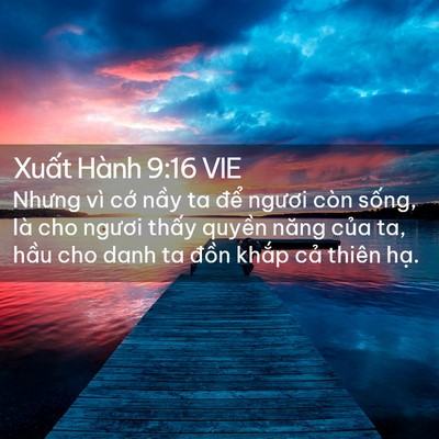 Picture 02 - Xuất Hành 9:16 VIE - Nhưng vì cớ nầy ta để ngươi còn - Bible Verse Picture