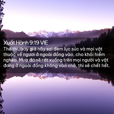 Picture 02 - Xuất Hành 9:19 VIE - Thế thì, bây giờ hãy sai đem lục súc - Bible Verse Picture
